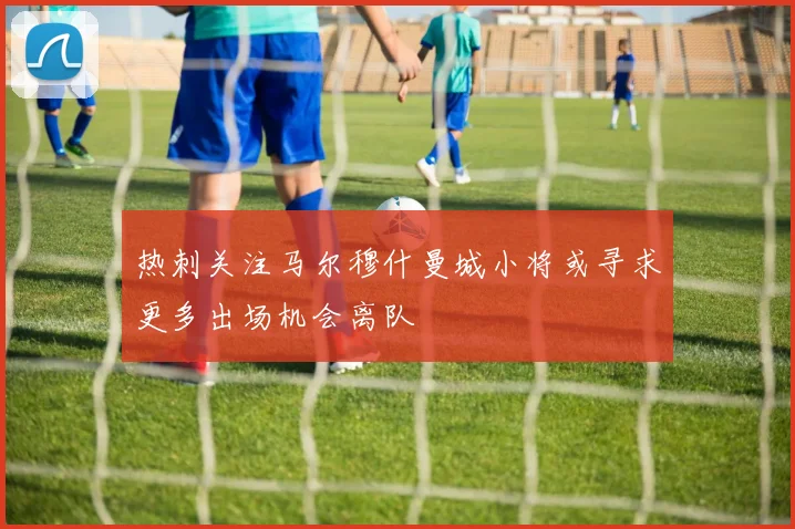 热刺关注马尔穆什曼城小将或寻求更多出场机会离队